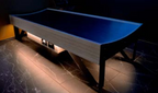 Quantum Energy Wellness Bed (QEWB)